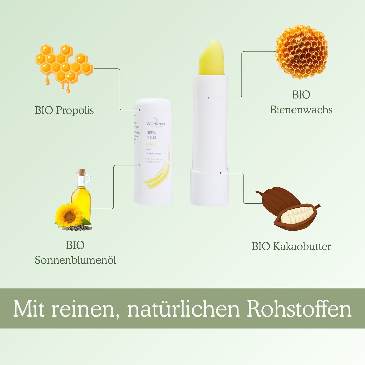 Lippenpflege mit BIO Propolis - Wild Origins
