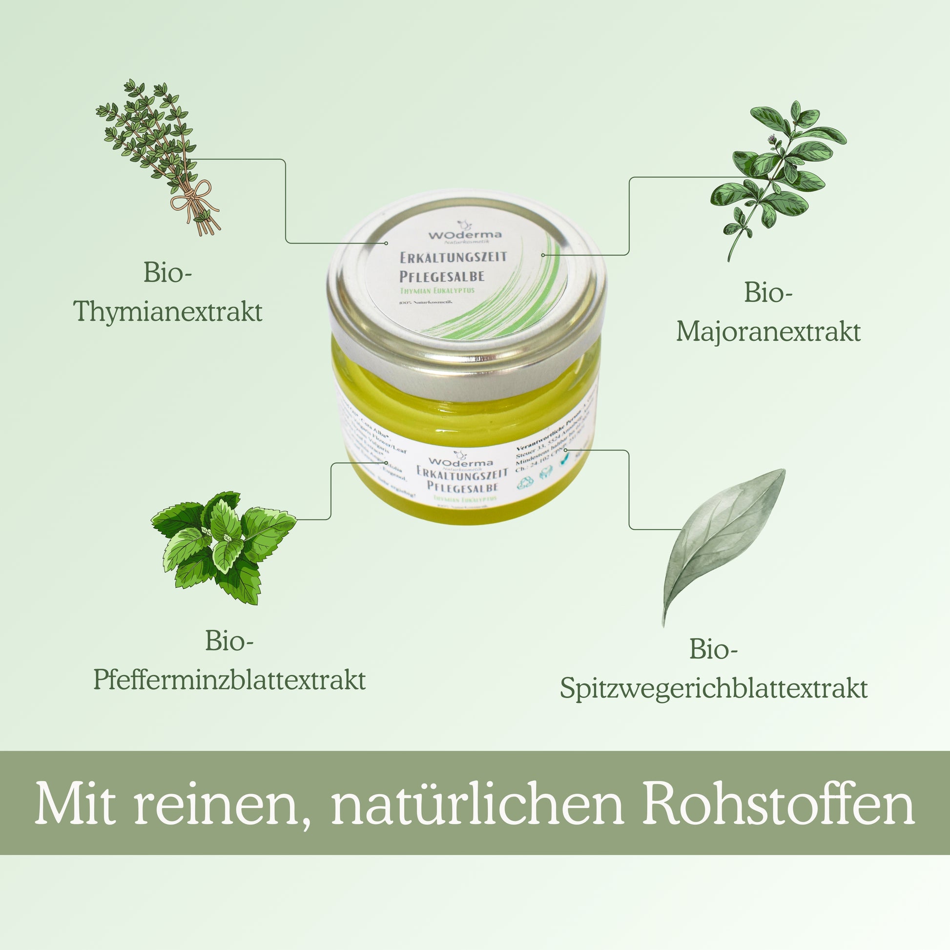 Pflegesalbe "Erkältungszeit"  mit BIO Kräuterextrakten - Wild Origins
